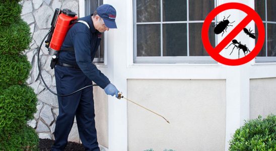 Doğankent Hamam Böceği İlaçlama böcek ilaçlama ve haşere kontrolü — ilaclama-tr.com